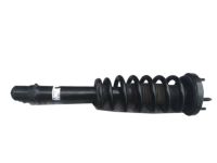 OEM 2005 Acura TL Shock Absorber Assembly, Right Front - 51601-SEP-A16