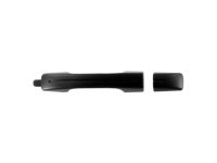 OEM 2006 Acura TL Handle, Passenger Side (Anthracite Metallic) - 72141-SEP-A01ZF