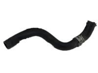 OEM 2020 Acura TLX Hose, Water Lower - 19502-RDF-A00