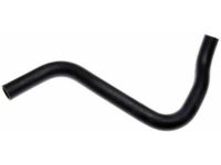 OEM 2008 Acura TL Hose, Water (Lower) - 19502-RDA-A50