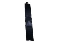 OEM Acura TSX Garnish, Right Front Door Center Pillar - 72430-TL0-003