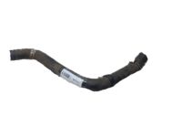 OEM 2009 Acura MDX Hose, Water (Lower) - 19502-RYE-A00