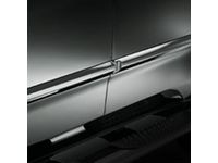 OEM 2007 Acura MDX Side Body Molding (Aberdeen Green Metallic - Exterior) - 08P05-STX-270