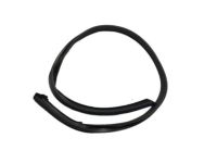 OEM Acura CL Sub-Seal, Left Front Door - 72365-SV2-013