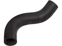 OEM Hose, Water (Lower) - 19502-PND-000