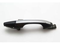 OEM 2006 Acura TSX Handle Assembly, Left Front Door (Outer) (Nighthawk Black Pearl) - 72180-SEC-A01ZD