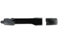 OEM Acura Handle, Passenger Side (Nighthawk Black Pearl) - 72141-SEP-A01ZB