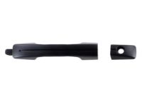 OEM 2004 Acura TL Handle, Driver Side (Abyss Blue Pearl) - 72181-SEP-A01ZA