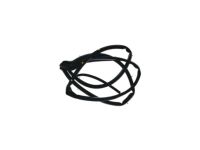 OEM 2012 Acura TSX Weatherstrip, Right Front Door - 72310-TL0-J01