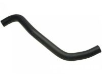 OEM Acura TL Hose, Water (Lower) - 19502-PY3-010