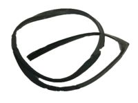 OEM Acura Sub-Seal, Left Front Door - 72365-S6M-003