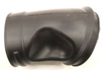 OEM Acura Tube A, Air In. - 17252-R4H-A00