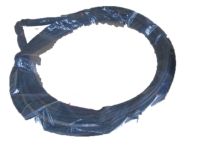 OEM 2004 Acura RSX Weatherstrip, Right Front Door - 72310-S6M-003