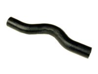 OEM 1998 Acura RL Hose, Water (Upper) - 19501-PY3-000