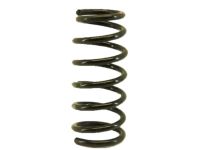 OEM 2004 Acura MDX Spring, Rear - 52441-S3V-A04