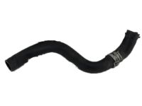 OEM 2013 Acura TL Hose, Water (Lower) - 19502-RK1-A00