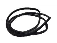 OEM Weatherstrip, Left Front Door - 72350-TX6-A01