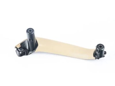 BMW 51-41-9-209-213 Carrier, Door Pull, Left