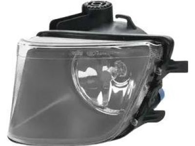 BMW 63-17-7-182-195 Fog Lights, Left