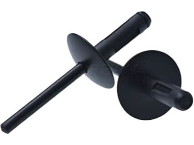 BMW 07-14-7-293-278 Expanding Rivet, Black