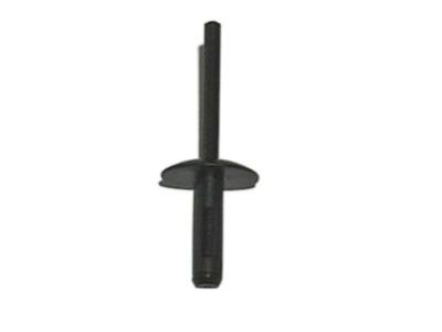 BMW 07-14-7-293-278 Expanding Rivet, Black
