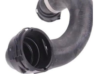 BMW 17-12-7-564-478 Radiator Lower-Thermostat Hose