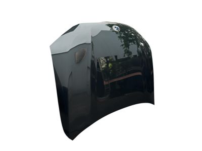 BMW 41-00-8-499-153 Hood