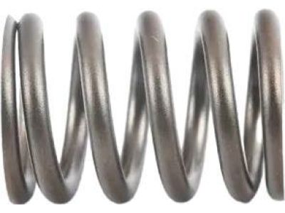 BMW 11-34-1-276-504 Valve Spring