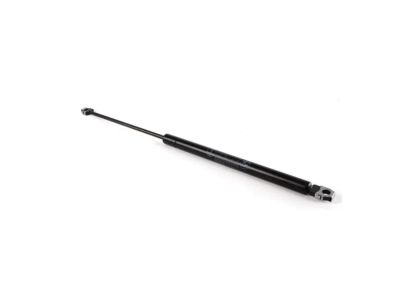 BMW 51-23-8-119-558 Gas Pressurized Spring