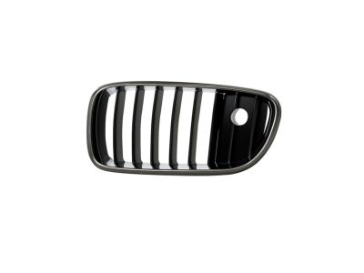 BMW 51-13-7-203-203 Grille, Front, Left