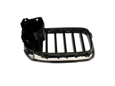 BMW 51-13-7-203-203 Grille, Front, Left