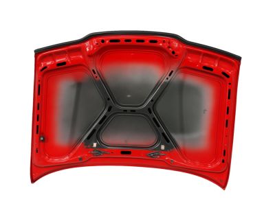 BMW 41-61-8-135-344 Hood