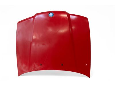 BMW 41-61-8-135-344 Hood