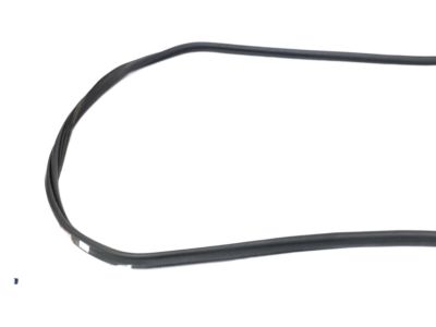 BMW 51-76-7-003-105 Trunk Lid Gasket