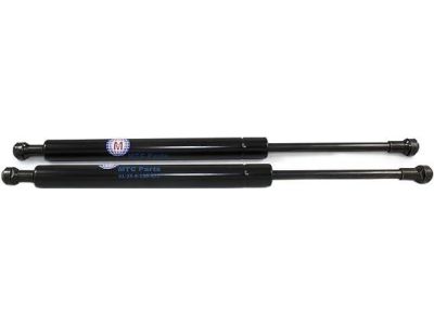 BMW 51-23-8-150-077 Gas Pressurized Spring