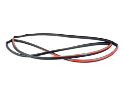 BMW 51-33-7-289-609 Door Weatherstrip, Front