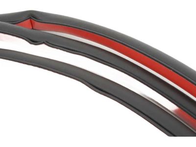 BMW 51-76-7-220-381 Door Weatherstrip, Front