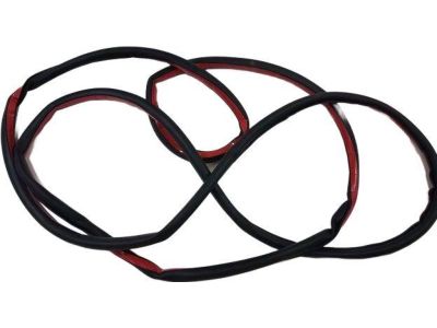 BMW 51-76-7-220-381 Door Weatherstrip, Front