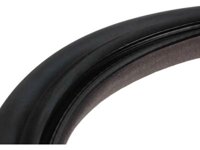 BMW 51-71-1-977-728 Front Right Door Seal