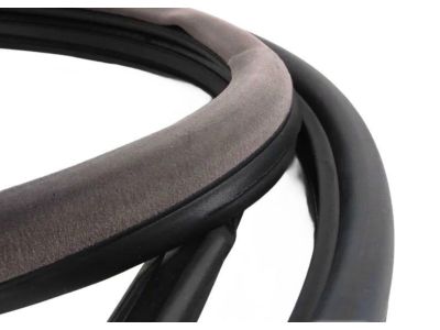 BMW 51-71-1-977-728 Front Right Door Seal