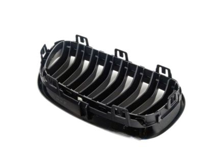 BMW 51-71-2-336-815 Passenger Side Kidney Grille