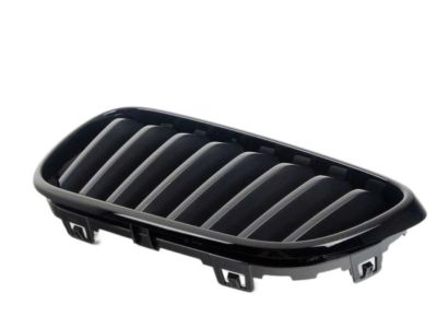 BMW 51-71-2-336-815 Passenger Side Kidney Grille