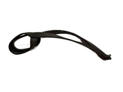 BMW 52-10-1-843-100 Rubber Ring