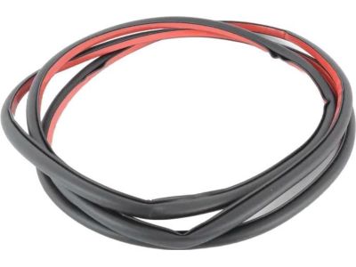 BMW 51-76-7-220-382 Door Weatherstrip, Rear