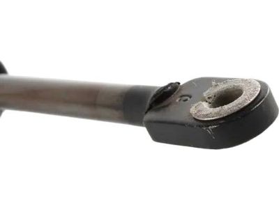 BMW 54-31-8-268-980 Gas Pressurized Spring