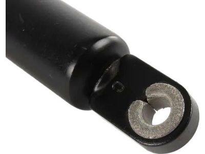 BMW 54-31-8-268-980 Gas Pressurized Spring