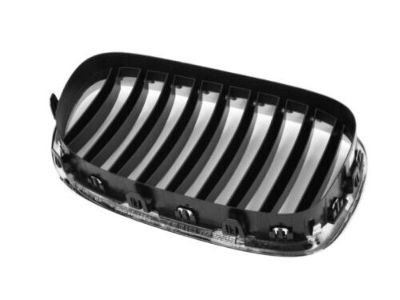 BMW 51-11-7-295-297 Grille, Front, Left