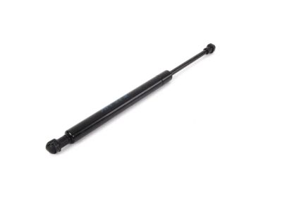 BMW 51-24-8-254-281 Gas Pressurized Spring