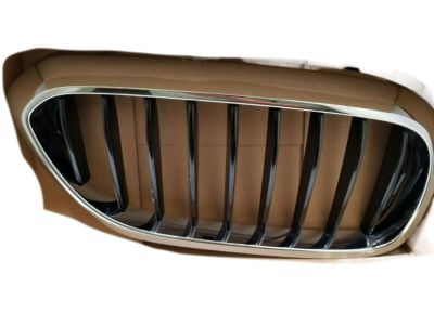 BMW 51-71-2-430-993 M Performance Black Kidney Grille, Left