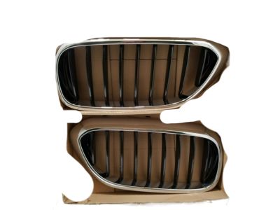 BMW 51-71-2-430-993 M Performance Black Kidney Grille, Left